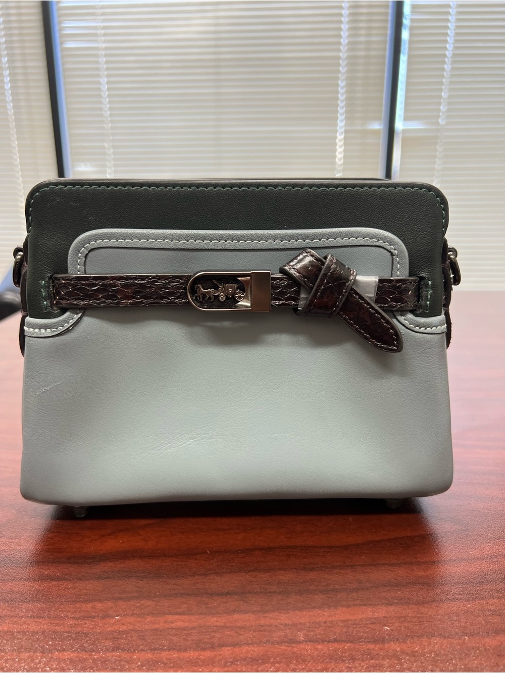 Coach Tate 18 Leather Crossbody with Dark Brown Belt Accent